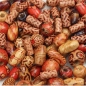 100Pcs Mischfarbe Holzperlen Rundrohr Reis Perlen 