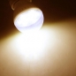 B22 2.5W Warmweiß 7 SMD 5050 LED-Glühlampe-Lampe 110-240V