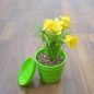 Kunststoff-Thread Blumentopf mit Fach Gartenpflanzen Blumentöpfe