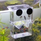 Aquarium Fish Breeding Hatchery Junge Fische Incubator Isokoffer