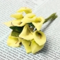 Bunte Vivid Calla Lilien Brautstrauß Hochzeitsautodekoration