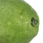 Künstliche Lemon Lime Simulation gefälschte Obst Imitation Lernen Props Home Shop Decor