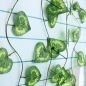 2.Künstliches 3-M-Efeuherz gestaltet grüne Blatt-Girlande Hausgartendekoration