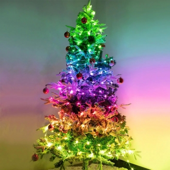 RGB IC Weihnachtsbeleuchtung  Wasserdicht