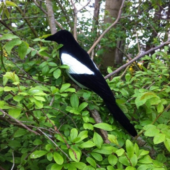 36cm Garten Dekoration Künstliche PE Blasformen Magpie Courtyard Landscape Ornament