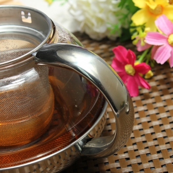 600ML Edelstahl Moderne Infuser Teekanne Kräuter mit Filter hitzebeständigem Glas Kaffeekanne