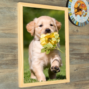 16 Zoll Bilderrahmen Hanging Holz Bilderrahmen Foto Wand Ausgangswand Dekor Anhänger Rahmen