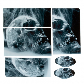 Schädel-Haut-Art-Aufkleber für PS4 Spiel-Station 4 Konsole 2 Steuerpulte-Vinylabziehbild