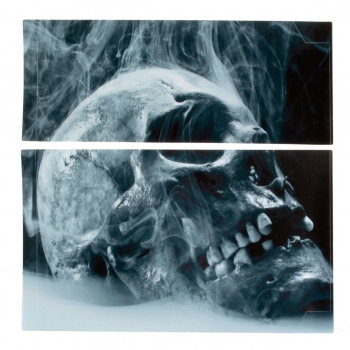 Schädel-Haut-Art-Aufkleber für PS4 Spiel-Station 4 Konsole 2 Steuerpulte-Vinylabziehbild