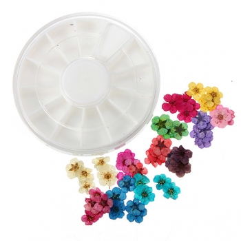 Dry Flower Acryl UVgel Nagel Kunst Dekoration Rad DIY