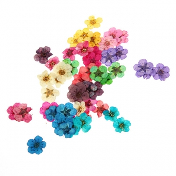 Dry Flower Acryl UVgel Nagel Kunst Dekoration Rad DIY