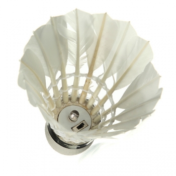 Dark Night Bunte LED Beleuchtung Sport Feather Birdies Badminton