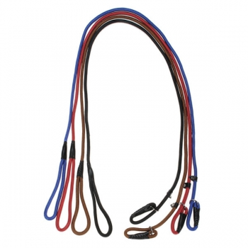 Nylon-Seil Haustier Hund Schein Ausbildung P-Leine Gehen Führende Collar 