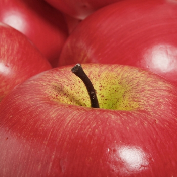Künstliche Apple Zuhause Party Dekorative Gefälschte Red grüne Äpfel Obst Gemüse