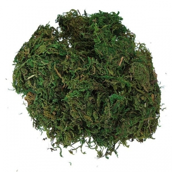 Künstliche Getrocknete Rentierflechte Flowers Basket Garland Decor