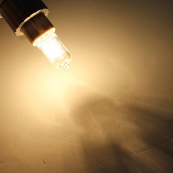 G9 25W Klar Frosted Halogen Beleuchtung Glühlampe Lampen 230V