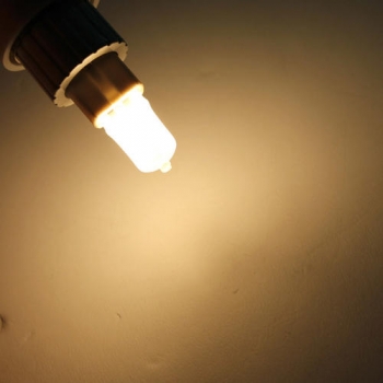 G9 18W Klar Frosted Halogen-Glühlampe-Lampe 220-240V