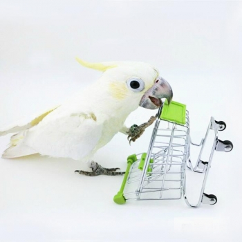 Parrot Spielzeug Vogel Supermarkt Einkaufswagen Kinderwachstums Box