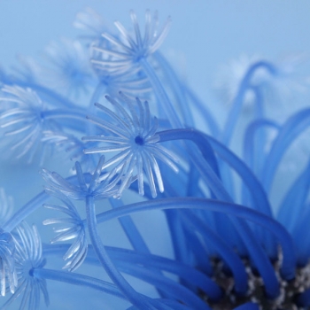 Aquarium künstliche Software Coral Pflanze Dekoration Blau