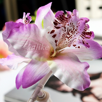Womens Brauthochzeits Orchideen Blume Leopard Hair Clip