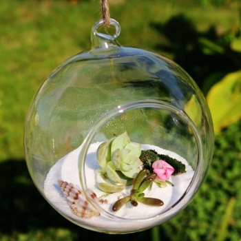 Kugel Form hängender GlasVase Sukkulenten Micro Landschaft Bottle