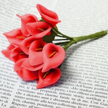 Bunte Vivid Calla Lilien Brautstrauß Hochzeitsautodekoration