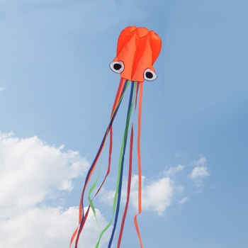 4m Octopus Weiche Drachen Fliegen mit 200m Linie Drachenbandspule 6 Farben 