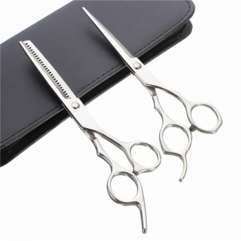 Professionelle Salon Haarschnitt Friseur Haar Ausschnitt Flache Dentatus Edelstahl Scheren Set