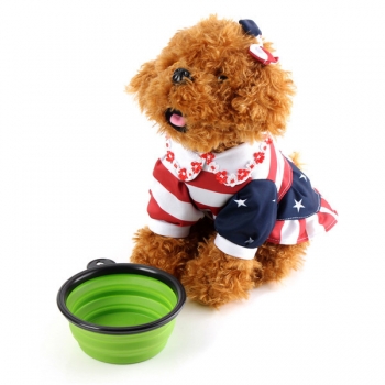 Collapsible Pet Travel Bowl faltbares Hunde Compact Futternapf Katze Silikon Leichtbau Bowl