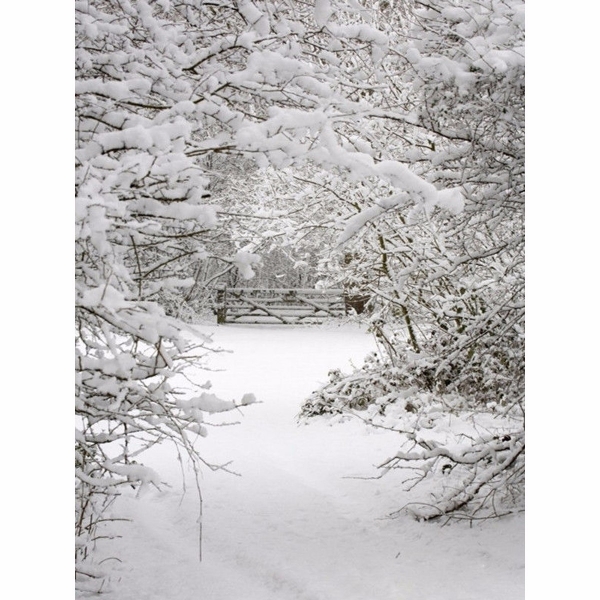 1.5x2.1m Schnee Weihnachten Thema Hintergrund Vinyl Fotografie Studio Backdrop