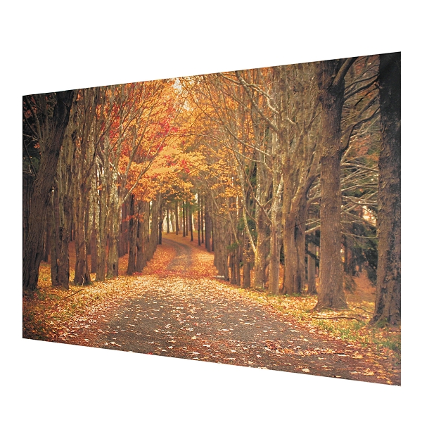 7x5ft Herbst Wald Hintergrund Fotografie Backdrop Studio Foto Vinyl Tuch