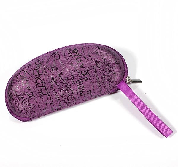 Sonnenbrillen Hard Case Glas Brillen Zipper Box Bag