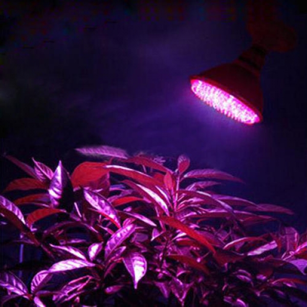 E27 1.9w 38 LED baut leichte Pflanzenlampe hydroponic ac 110/220v an