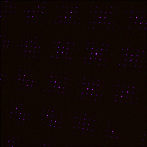 303 405nm justierbarer purpurroter Lichtstrahl Laser Zeiger 1mw / 5mw