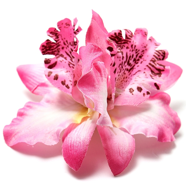 Womens Brauthochzeits Orchideen Blume Leopard Hair Clip