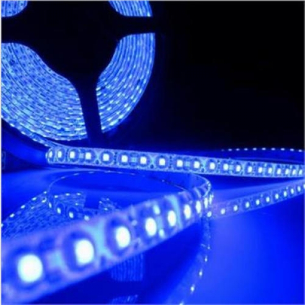 Blaue wasserdichte 5 M 3528 LED smd 600 Lichter flexibler Streifenlicht-DC 12v