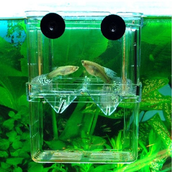 Aquarium Fish Breeding Hatchery Junge Fische Incubator Isokoffer