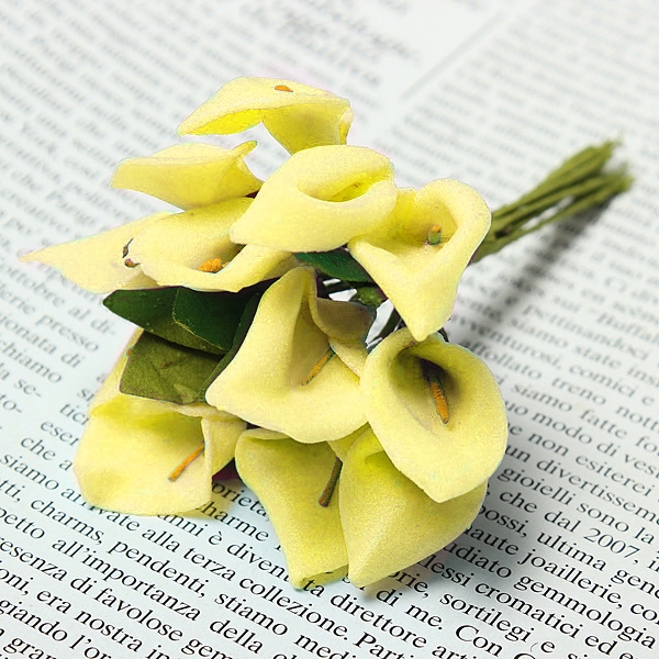 Bunte Vivid Calla Lilien Brautstrauß Hochzeitsautodekoration