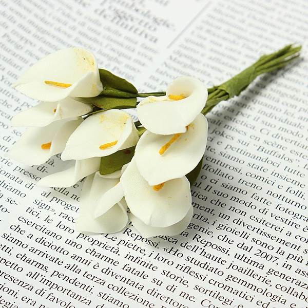 Bunte Vivid Calla Lilien Brautstrauß Hochzeitsautodekoration