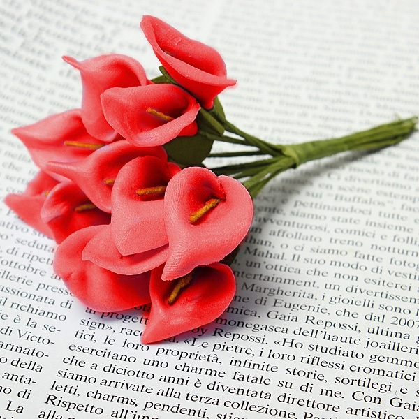 Bunte Vivid Calla Lilien Brautstrauß Hochzeitsautodekoration
