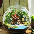 DIY Moss Micro Landschaft Eco Glasflasche Sukkulenten Blumentopf Hausgarten Dekoration